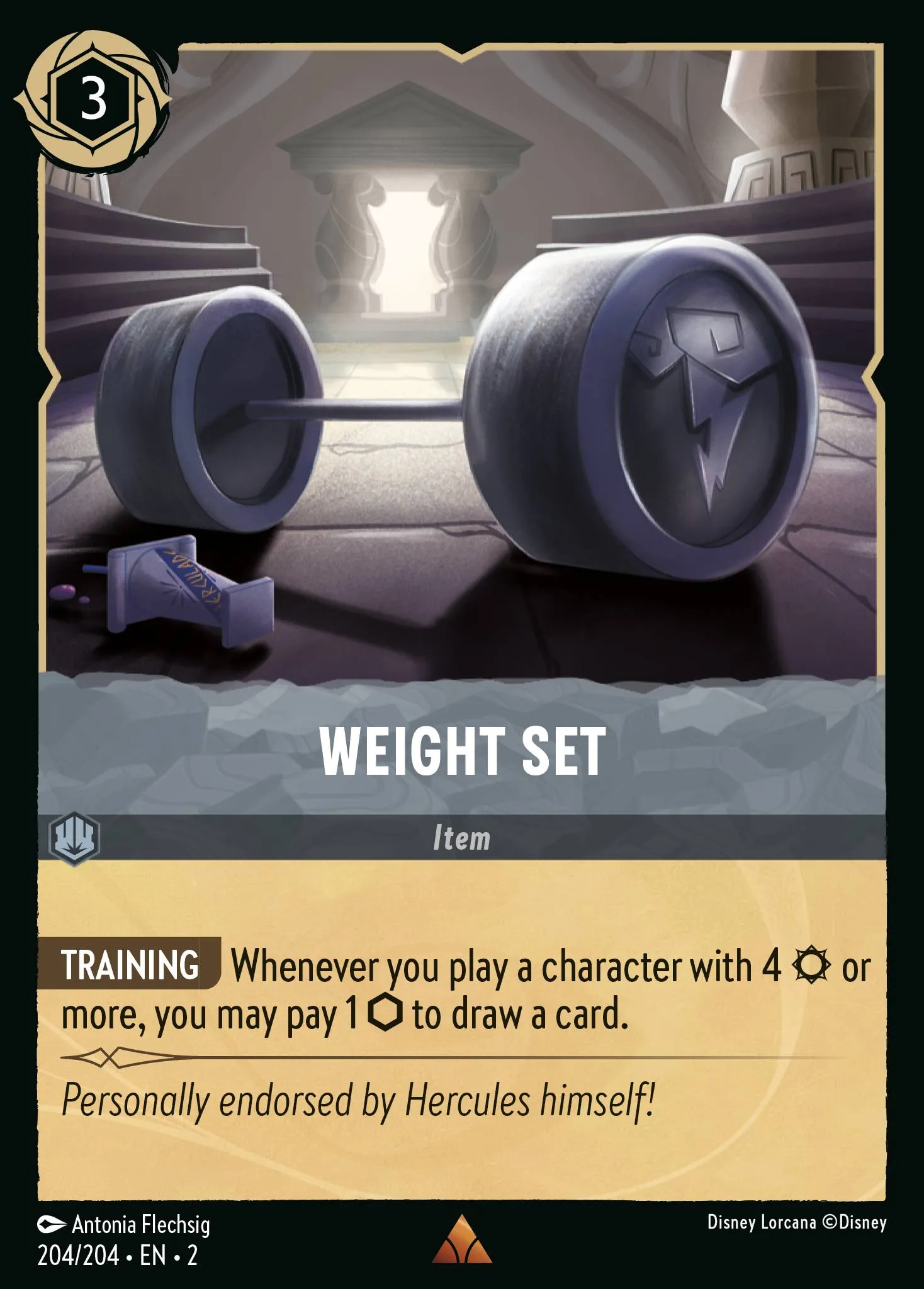 Weight Set (002-204)