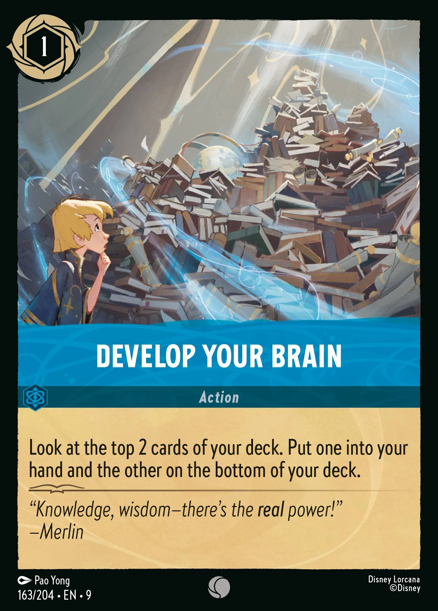 Develop Your Brain (009-163)